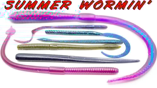 Big Worms For Summer Bass - Everything You Need To Know!