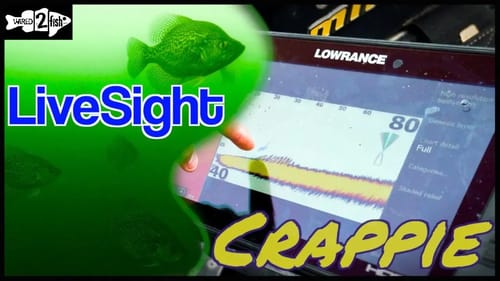 Targeting Fall Crappie with Lowrance LiveSight