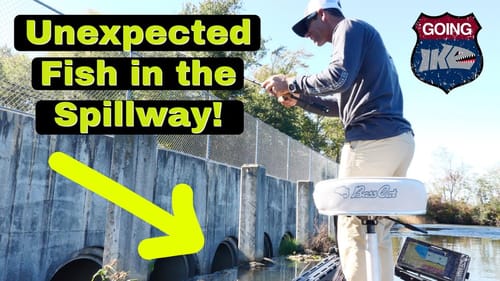 UNEXPECTED Fish in the Spillway! (Crazy)
