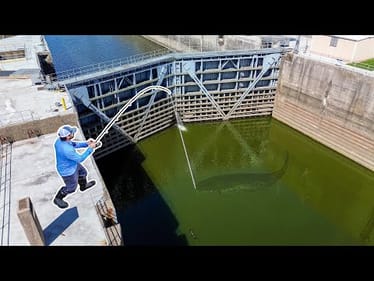The MONSTER of the RIVER LOCK!!! (Biggest in YEARS!)