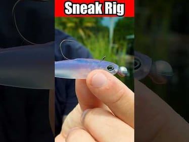 FINICKY  Bass Can't Resist this Sneaky FLUKE Rig
