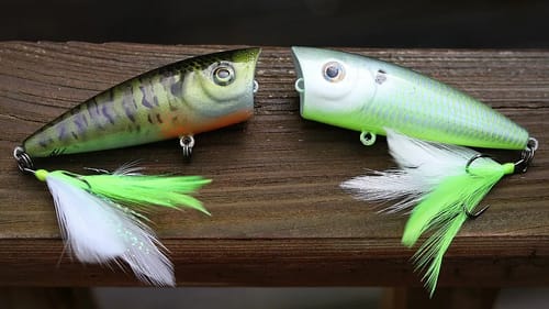 Topwater Fishing the Shad Spawn!
