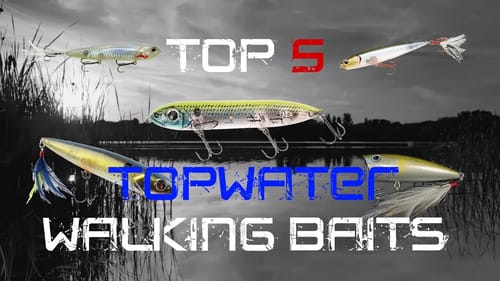 Top 5 Topwater Walking Baits