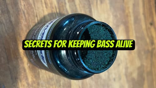 How To Keep Bass Alive And Strong In Your Livewell…