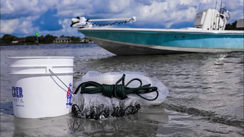 How To Catch LIVE Bait