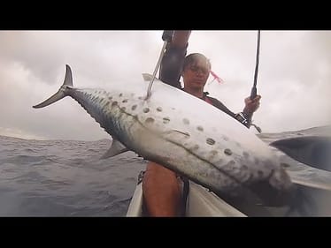 Mackerel season Kick Off 2014 - Kayak fishing Gold Coast