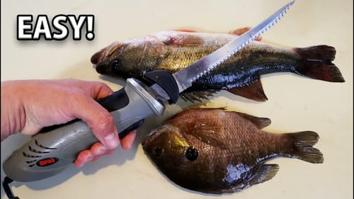 GILLY & BASS Catch, Clean, & Cook! EASY Filleting Tips! Baking Fish!