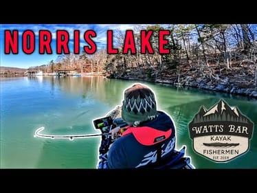 Can I Find the Winning Fish in this Deep Crystal Clear Lake??