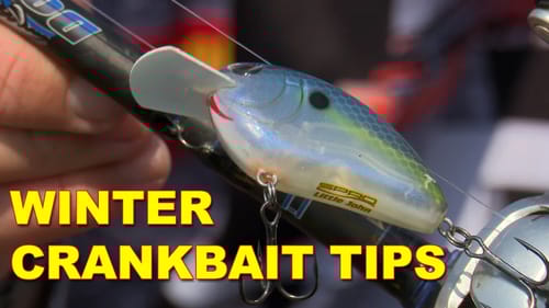 Winter Bass Fishing with Crankbaits | How To | Bass Fishing
