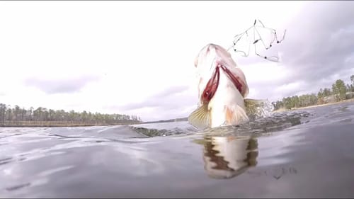 2015 Bass Fishing Highlights