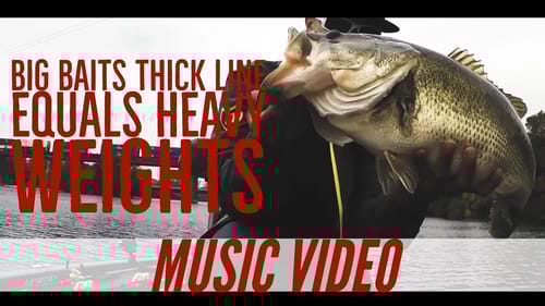 Big Baits Thick Lines Heavy Weights Music Video - Big Bass Dreams