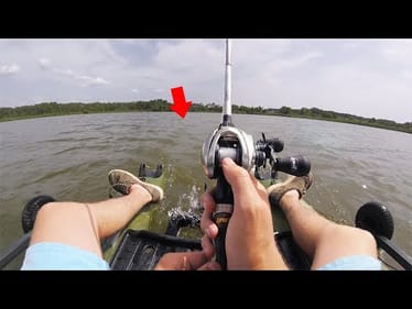 I Caught A MASSIVE Fish Doing Something DUMB