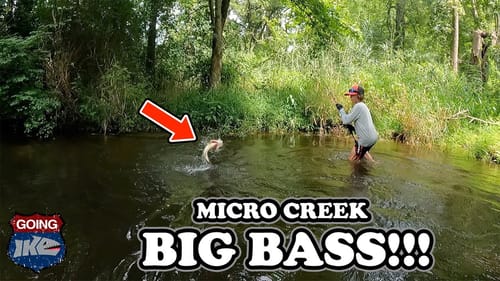 Exploring MICRO stream for BIG Bass!!! (Multi Species!!!)