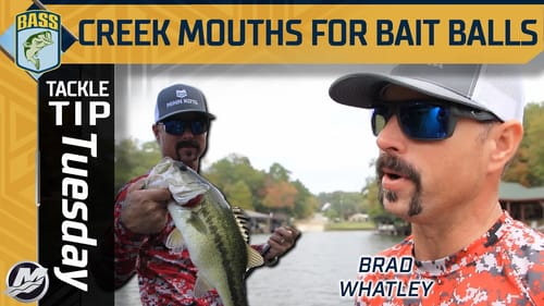Search Creek Mouths on Lakes for Fall Baitfish