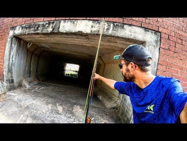 MONSTER FISH in CRAZY URBAN DITCH!!