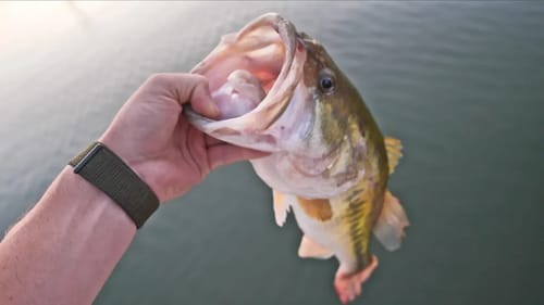 Fishing ALL NEW BASS BAITS - Unboxing & First Cast HAWG!