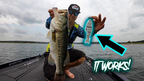 My First Time Painting a Lure and Bass LOVE IT! Custom 6th Sense Trace Swimbait