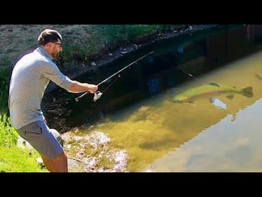 I SHOULDN’T be allowed to fish here…
