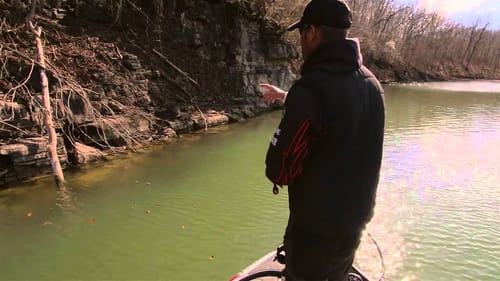 Swimming Jigs on the Bottom for Bass