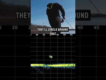 Breaking down the pattern that won Ray Roberts—deadsticking a wacky rig with FFS