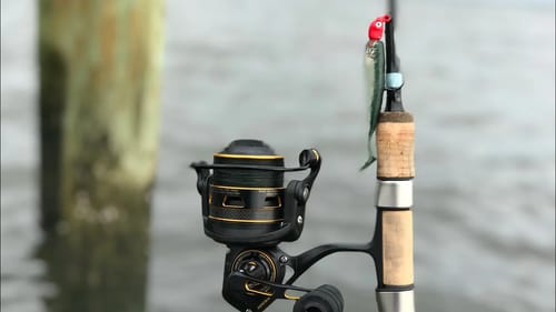 Multi-Species Wade Fishing