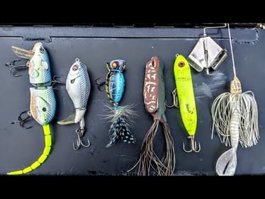 CATCHING RIVER SMALLIES ON DIFFERENT TOPWATER LURES