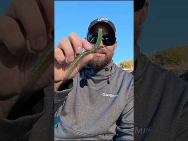 This rig gets bit when others don’t 👌 Watch NOW 👀 #bassunion #bassunionjigs #bassunionguideservice