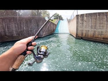 SPILLWAY FISHING IN CRYSTAL MICRO CREEK! -- * GIANT FISH SLIDE *