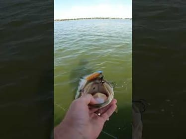 Chop block cast to catch 2