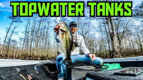 CHASING Big TOPWATER Bass In February?? || Late Winter Bass Fishing