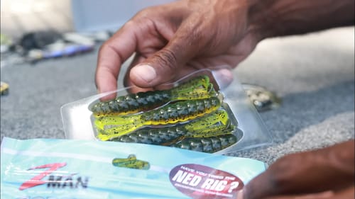 8 ways to rig a soft plastic creature bait.