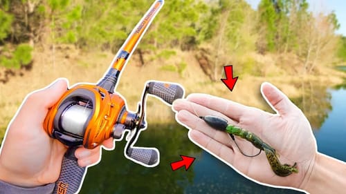 Catching BIG Bass - SCALE NEEDED (Pond Fishing)