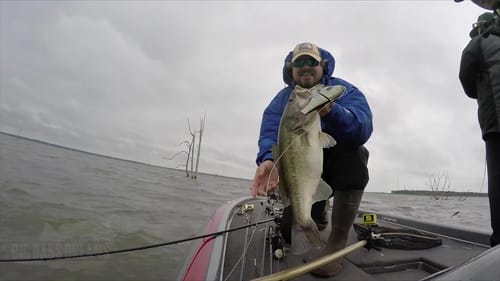 Lake Fork Swimbaiting with the Hinkle Shad and Jackall Gantarel