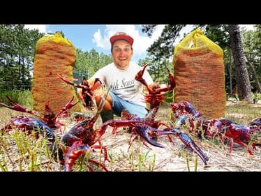 Stocking MASSIVE Crawfish for a WORLD RECORD Bass in my Backyard Pond!!