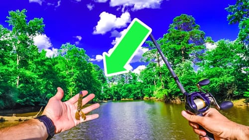Bass Tournament WIN on a MUDDY RIVER!! || Summer Bass Fishing