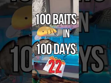 100 Baits In 100 Days - Day 22: Sherpa Swimbait #fishing