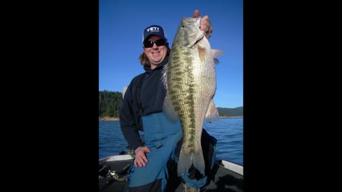 Giant 8 lb Spotted Bass!