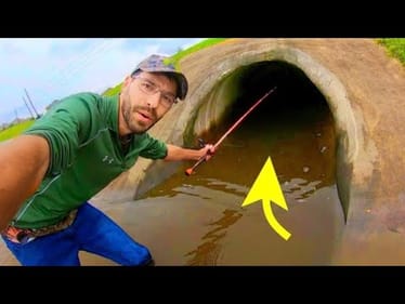 What GIANT FISH lives in this CITY TUNNEL?!
