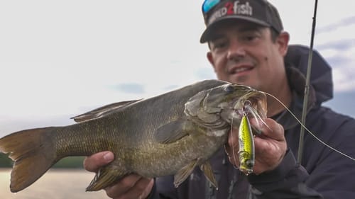 How Changing Your Cadence Will Catch More Bass on Topwaters