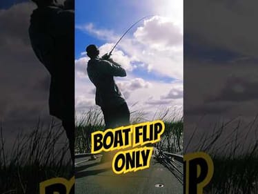 BOAT FLIP ONLY‼️ Flipping on Lake Okeechobee #short #bassfishing #flipping