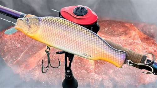 Smoking PorkButt and Painting Carp