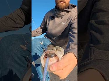 This rig gets bit when others don’t. Watch it NOW 📺 #bassunion #bassunionjigs #bassunionguideservic