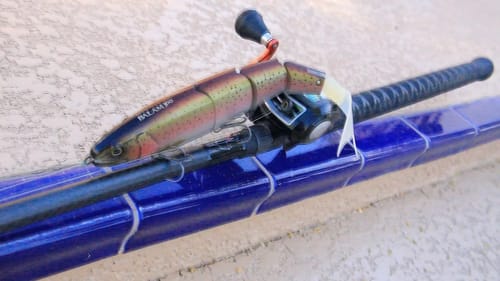 Big 12" Trout Swimbait!? Mail Call!