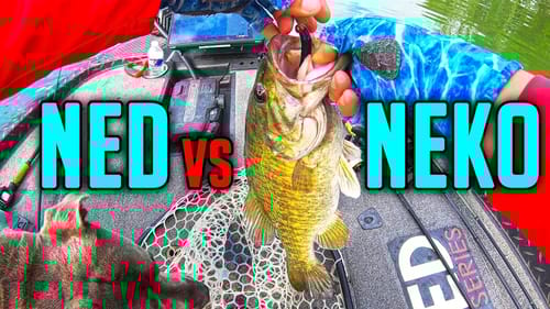 NED Rig vs NEKO Rig