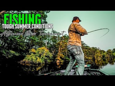I Caught My BIGGEST FISH In the LAST 5 MINUTES Of the Tournament!! || Summer Bass Fishing