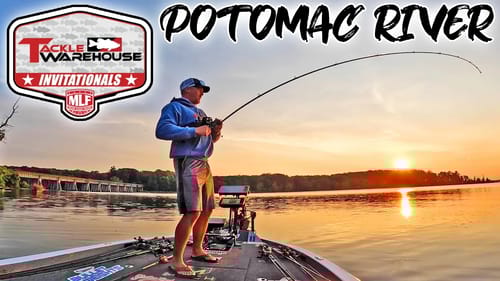 POTOMAC RIVER BASS FISHING for MLF PRO EVENT & POND TOURNAMENT!!