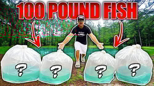 STOCKING My BACKYARD POND w/ Trophy Fish!! (100+ Pounds)