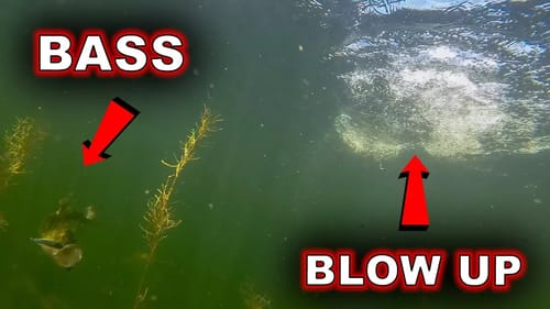 Spring Topwater?? Never Miss The Bite Again!