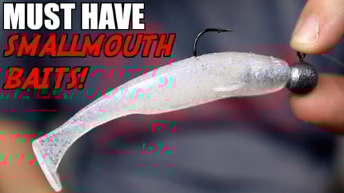 Top 3 Smallmouth Bass Baits for Early Fall!