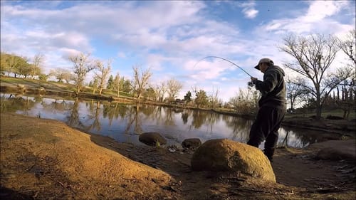 Trout Fishing Woodward Park 2015